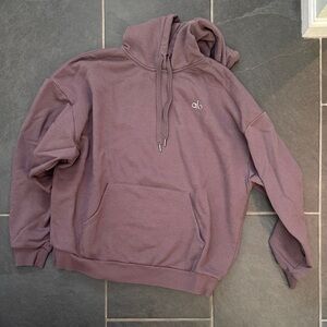 Alo Raisin Hoodie